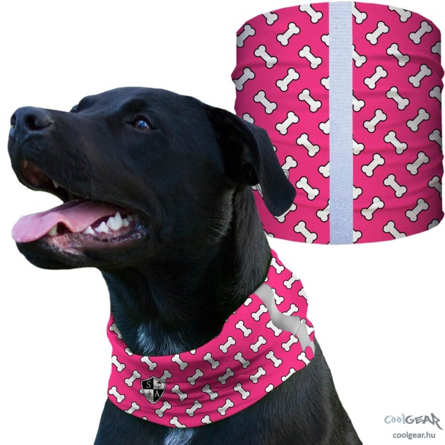 SA-D50051 - Kutyakendő - Bones Pink