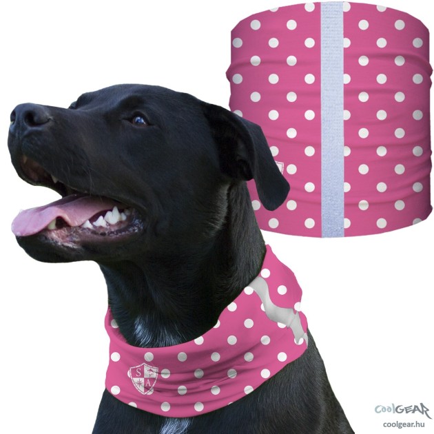 SA-D50068 - Kutyakendő - Polka Dots Pink