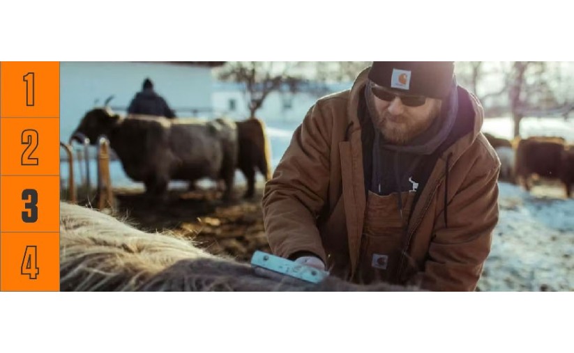 Warmer rating - melegségi szintek hideg időre